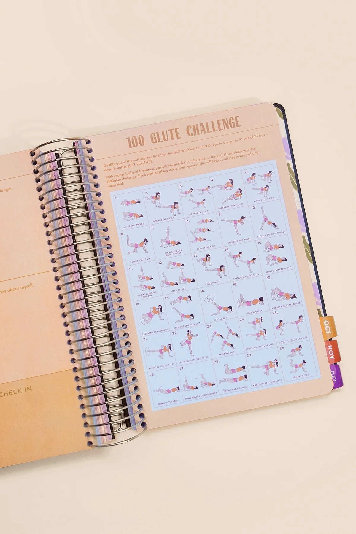 2026 Fit Planner + Stickers - Black Metallic - Image 13